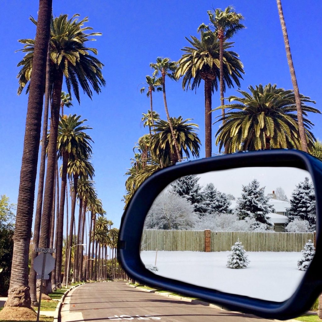 Photo of a road of palm trees with a side view mirror showing a snowy scene to show what we move toward and left behind