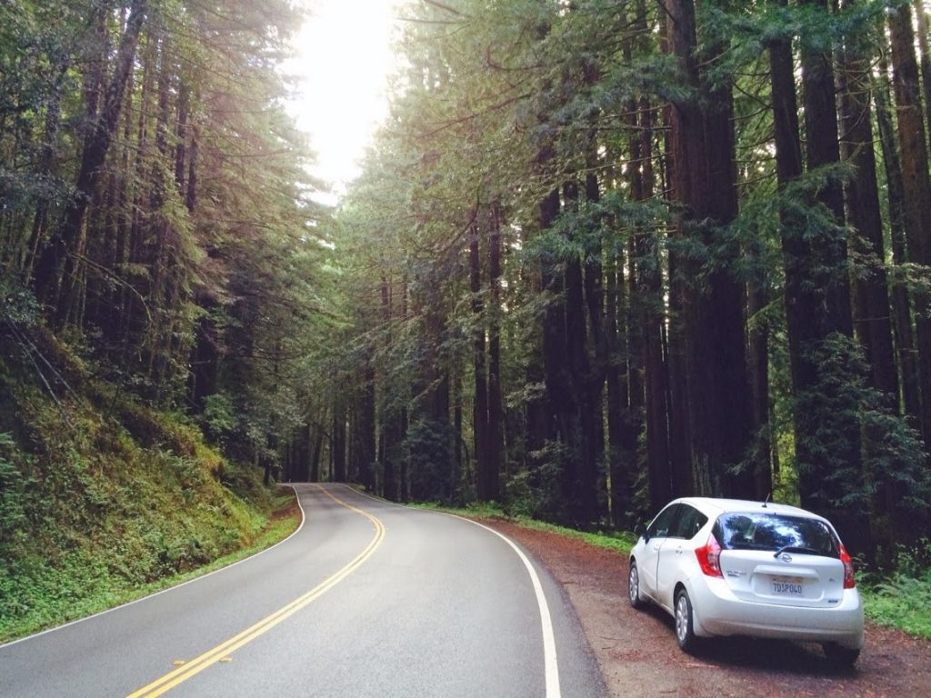 A car parked along a highway through the redwood trees, showing our adventures